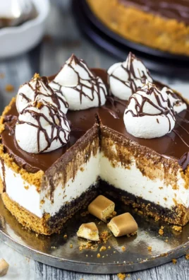S'mores Cheesecake